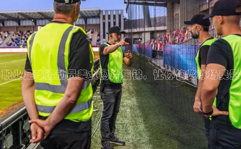 乐玩国际登录入口诸葛科技职业足球运动员美女图片集锦，让你饱览球场美景