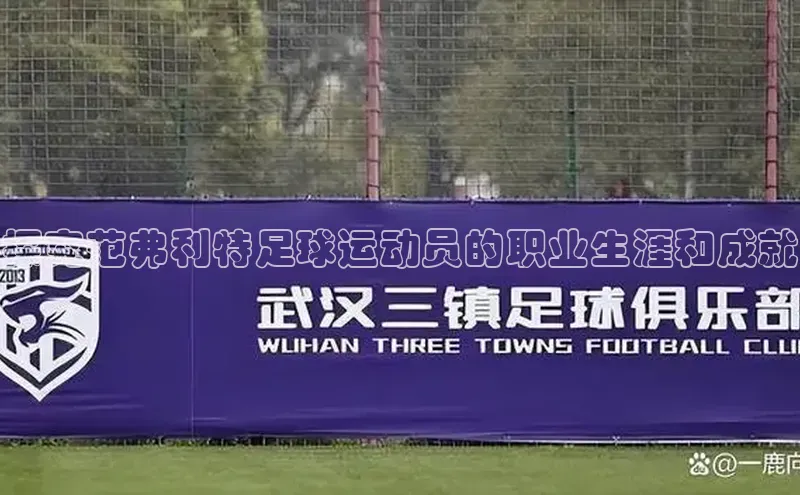 乐玩app官网入口路畅科技探究范弗利特足球运动员的职业生涯和成就