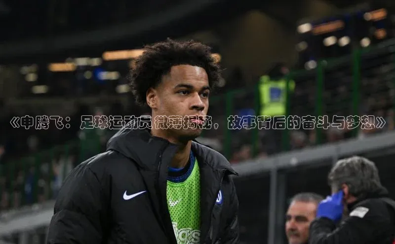 乐玩lewin官网手机版登录宇信科技《申腾飞：足球运动员微薄揭秘，故事背后的奋斗与梦想》