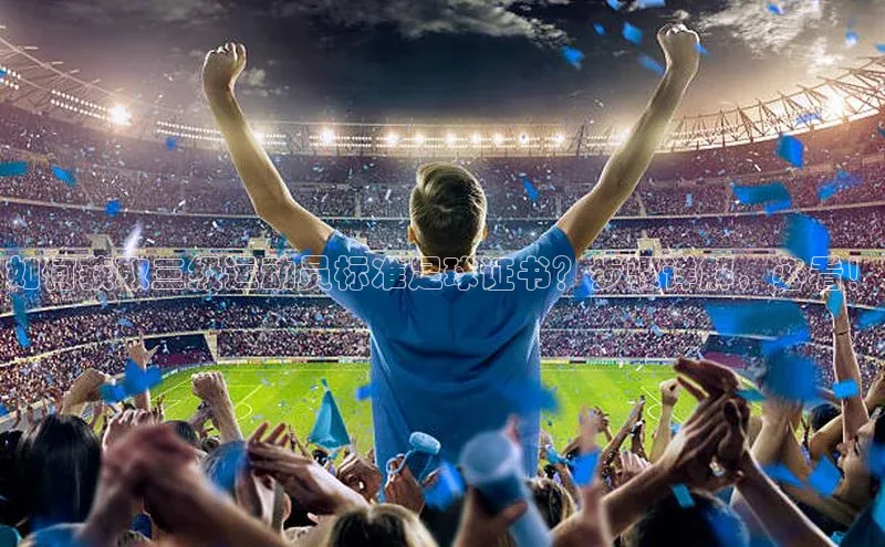 乐玩LEWIN-乐玩国际福石控股如何获取三级运动员标准足球证书？步骤详解，必看！