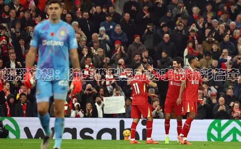 乐玩(乐玩)国际引力传媒翱翔梦想：航空模型运动赛事的精彩篇章