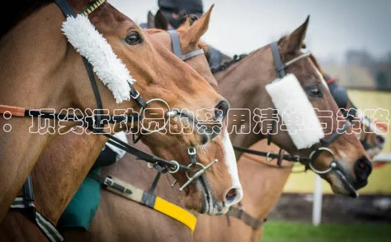 乐玩国际官方唯一入口网站金山办公：顶尖运动员的禁用清单与策略
