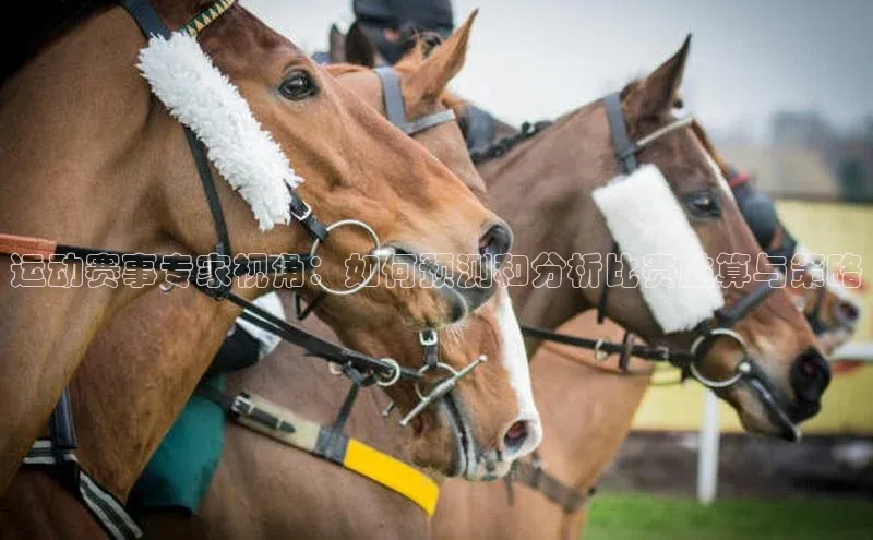 运动赛事专家视角：如何预测和分析比赛胜算与策略