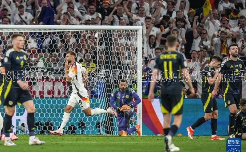 飞跃激情：全球轮滑群体运动赛事深度与展望