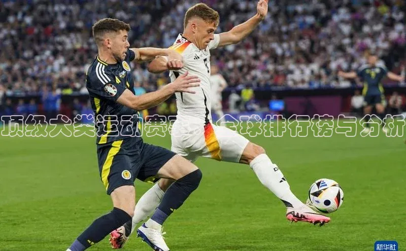 顶级犬类运动赛事：全球排行榜与分析