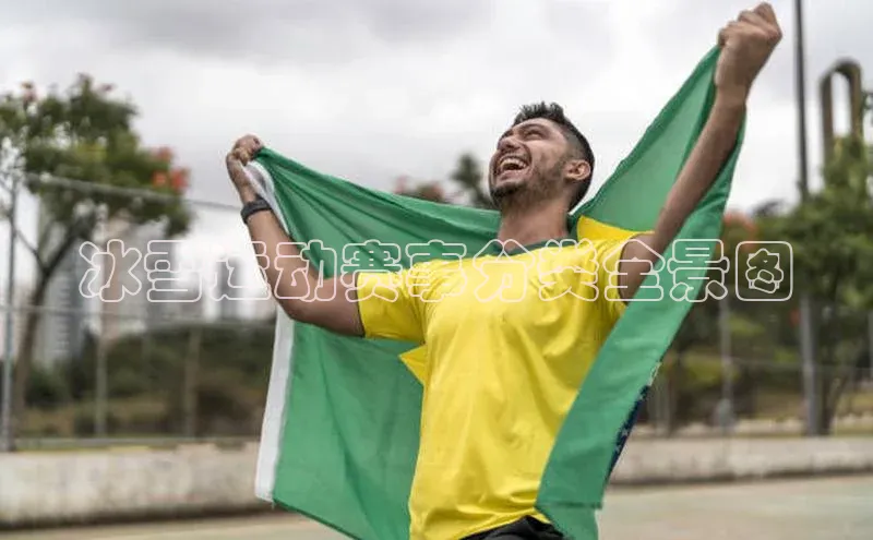 冰雪运动赛事分类全景图