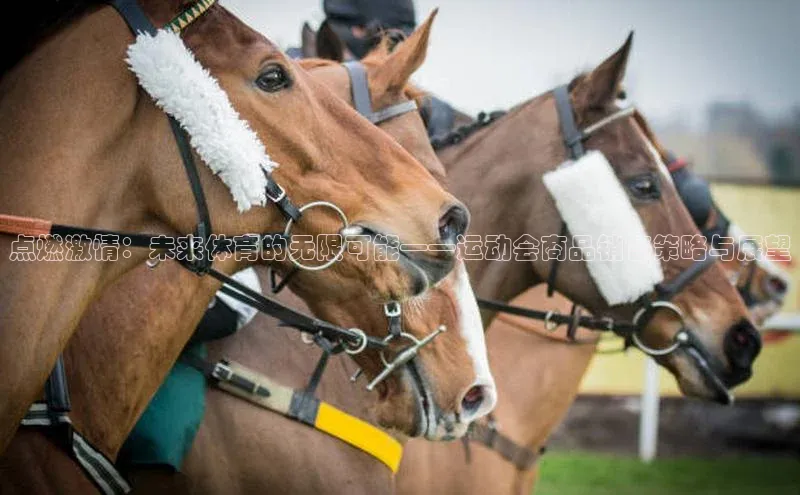 点燃激情：未来体育的无限可能——运动会商品销售策略与展望