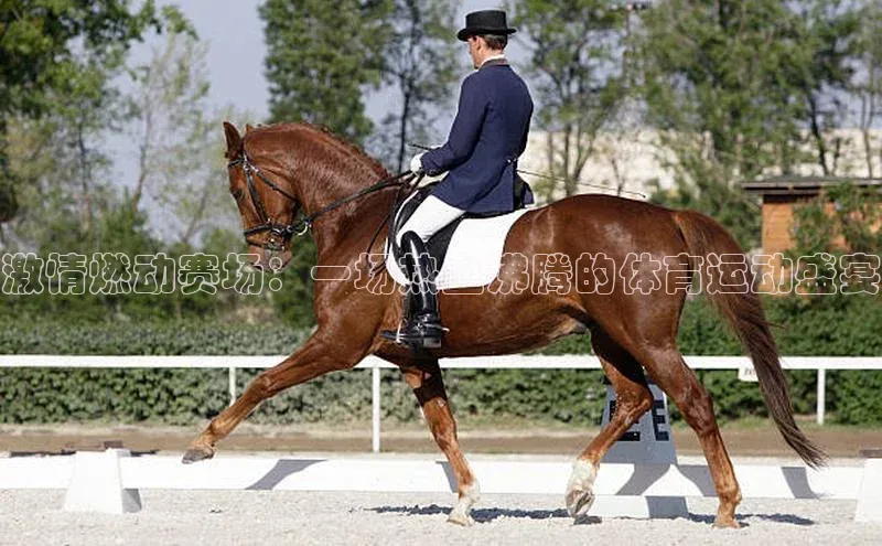 激情燃动赛场：一场热血沸腾的体育运动盛宴