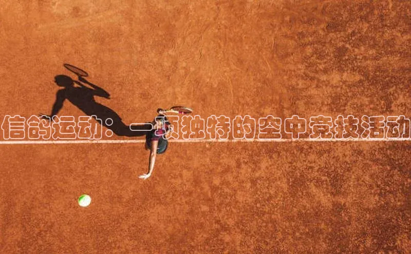 信鸽运动：一项独特的空中竞技活动