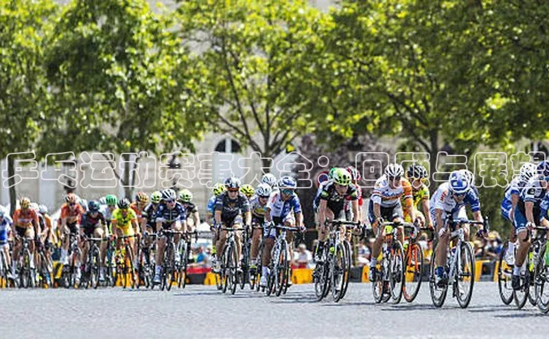 乒乓运动赛事大全：回顾与展望