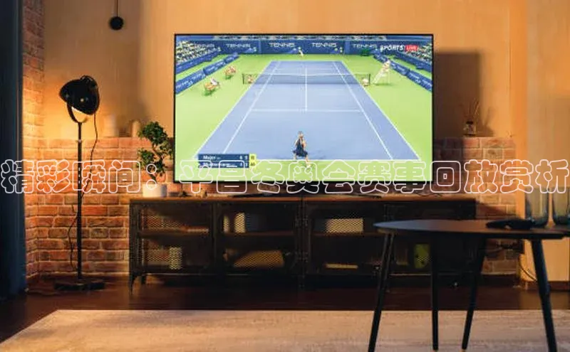 精彩瞬间：平昌冬奥会赛事回放赏析