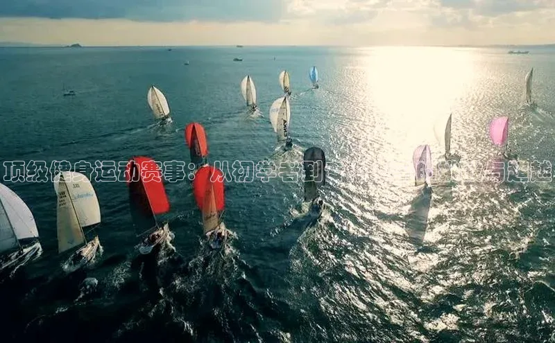 顶级健身运动赛事：从初学者到专业水平的挑战与超越