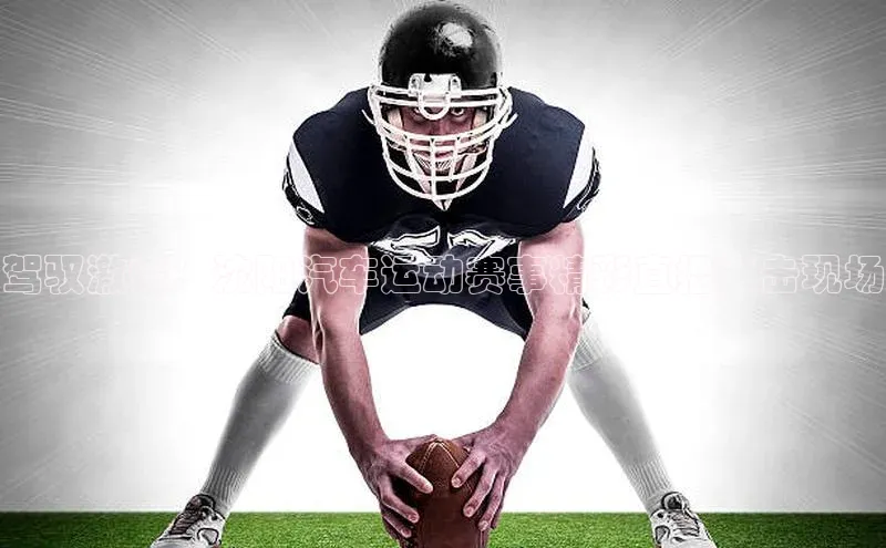 乐虎(乐玩)国际