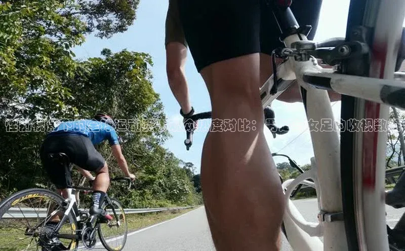 乐玩国际登录入口