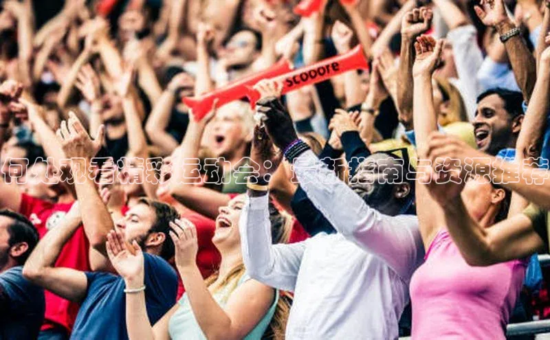 乐虎(乐玩)国际