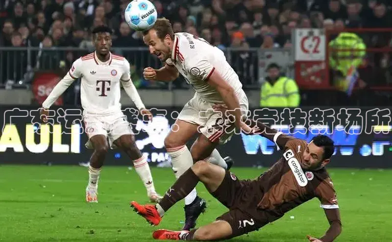 乐玩lewin官网手机版登录