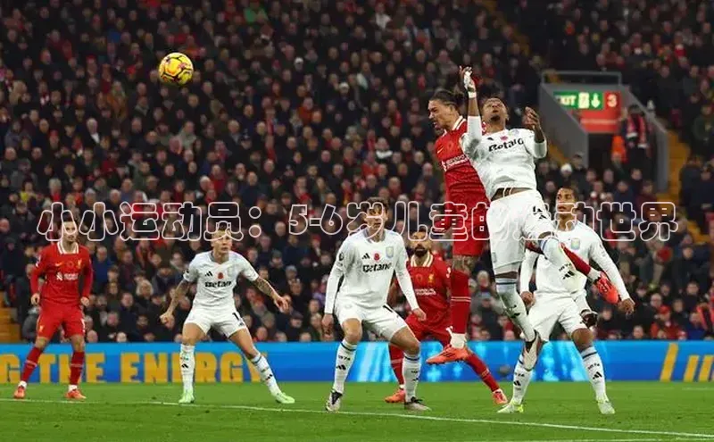 小小运动员：5-6岁儿童的运动世界